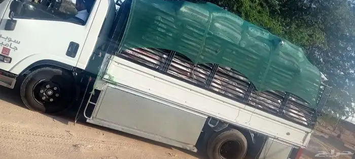 سماد سماد دجاج لاحم ممتاز لجميع الزراعه والاشجار 1