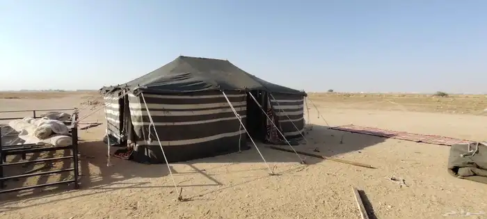 بيت شعر 5في7 مع جملون مستخدم 4 بيبان 2