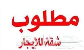 مطلوب شقه ايجار عزاب يفضل بحي جرير او الاماكن القريبه 0