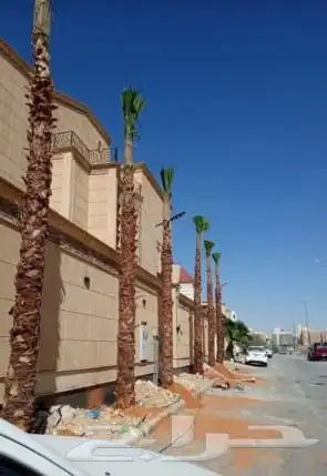 يوجد الدينا توريد ونخل 1