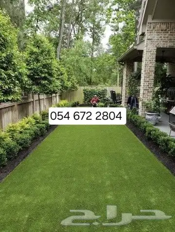 يوجد جميع انواع الاشجار والنباتات يوجد 6