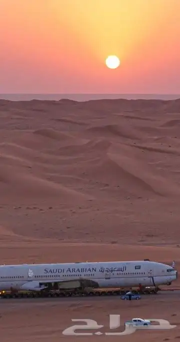لوحة سيارة مفقودة 0