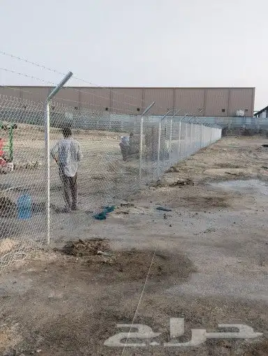 زراعة نخيل ومقاول شبوك 6