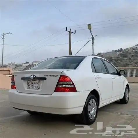 الي يبغى يارس او كوريلا مستعملة واقتصادية 1