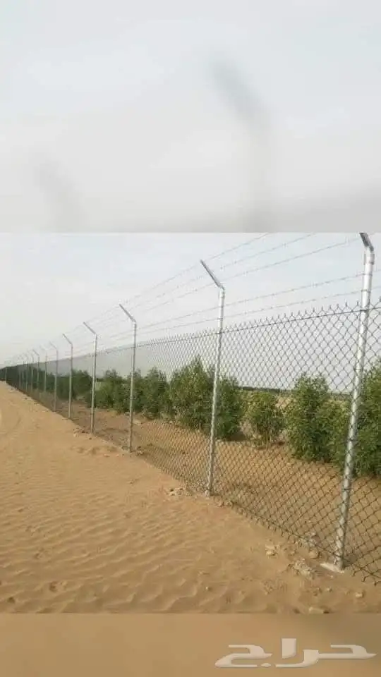 يوجد لدينا جميع انواع انخيل واشنطن وعربي وتركيب الشبوك تحت ا 2