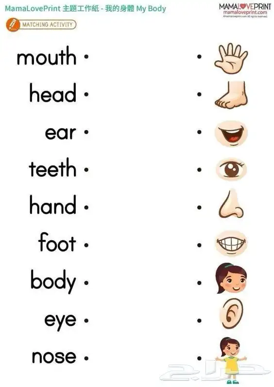 معلمه انجليزي 1