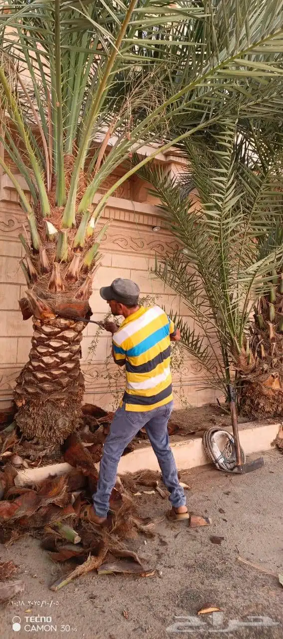 زراعة وتنسيق الحدائق كل مايخص الديكورات المنزليه 10