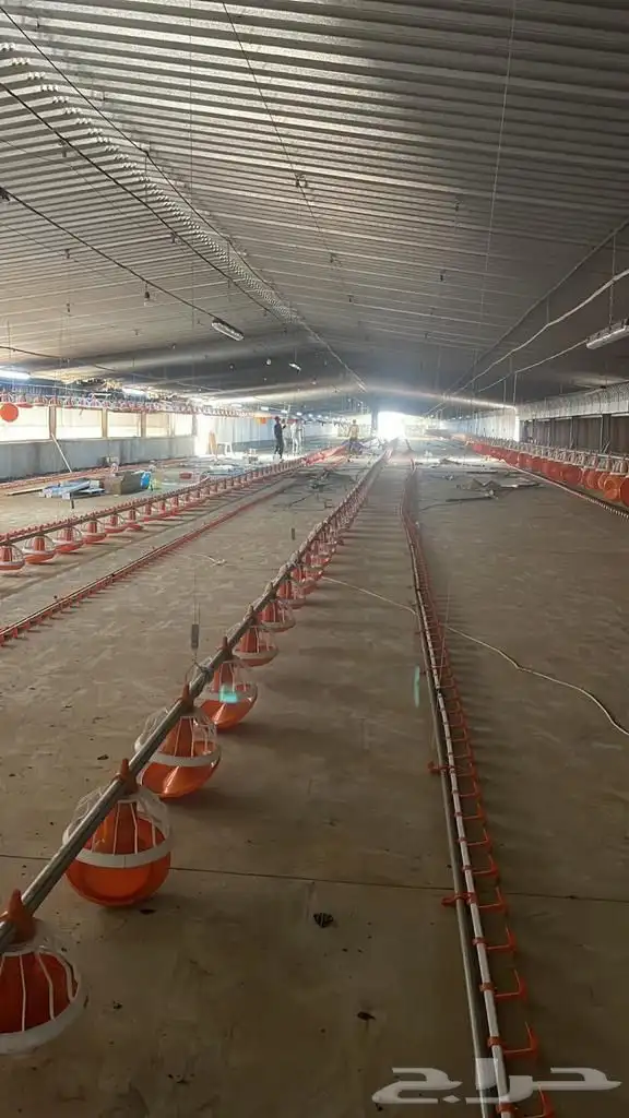 موسسه مقاولات لأنشاء حضائر الدواجن واللوحات الكهربائيه 13