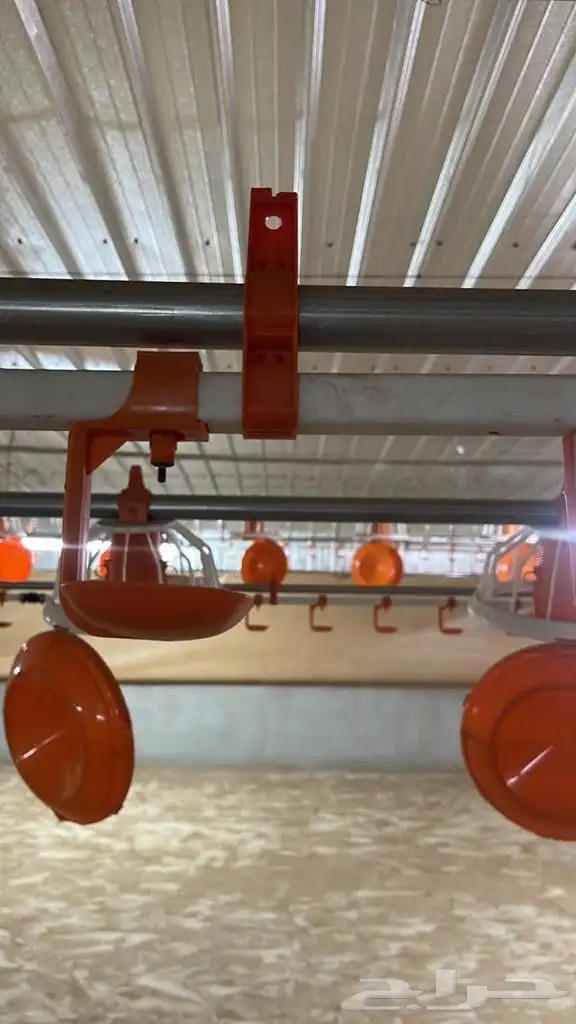 موسسه مقاولات لأنشاء حضائر الدواجن واللوحات الكهربائيه 22