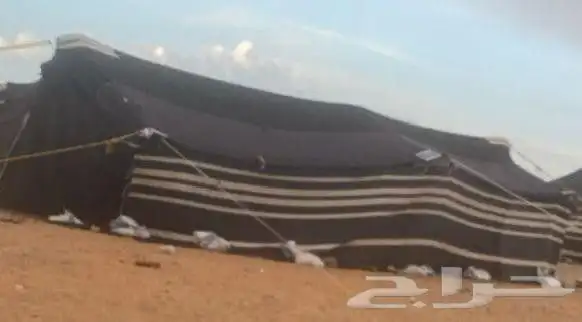 القطبه على مخيط يد ثلاث شقاق فوق شحمنيات واللي تحت ثنين مهن 0