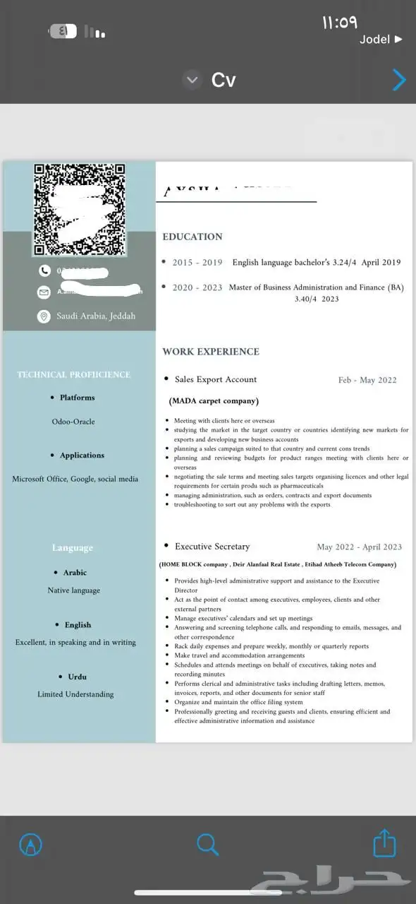 سيرة ذاتية احترافية 8