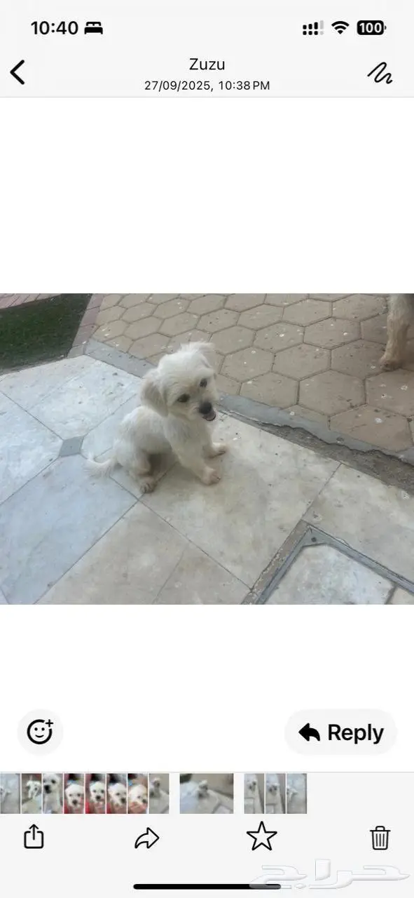 جده حي الزهره 4526 1