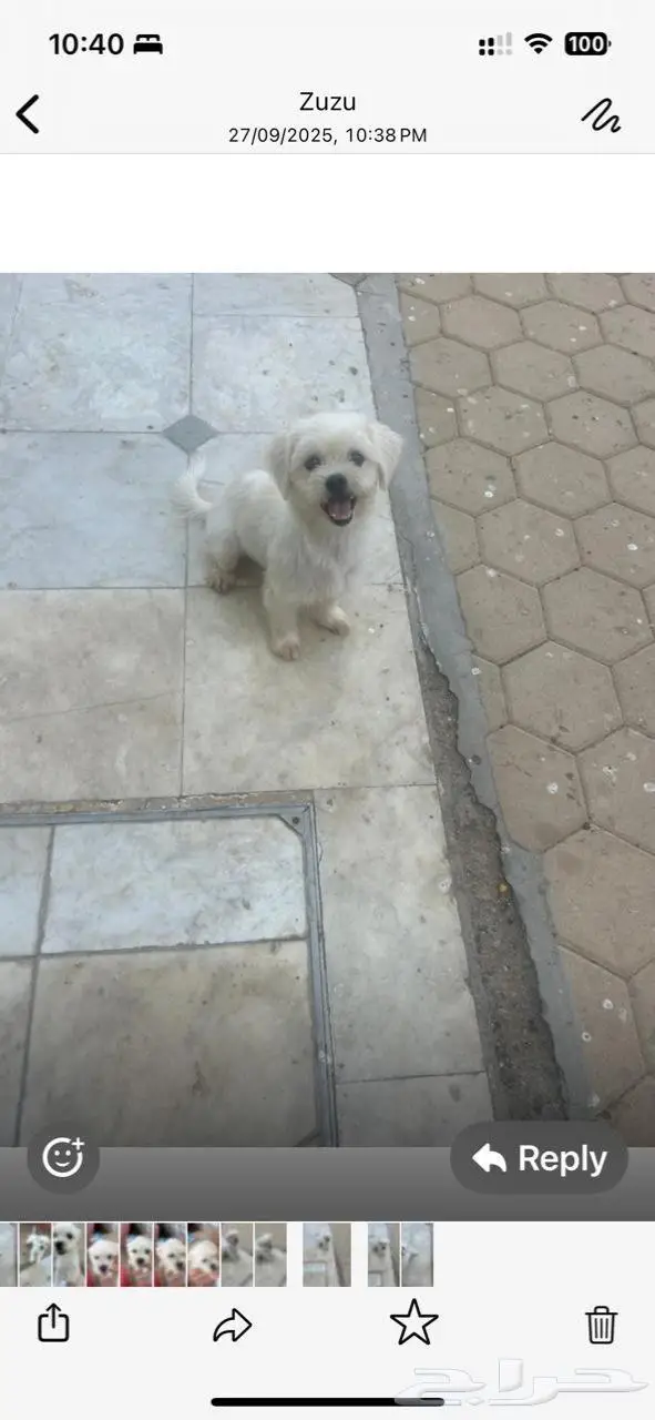 جده حي الزهره 4526 2