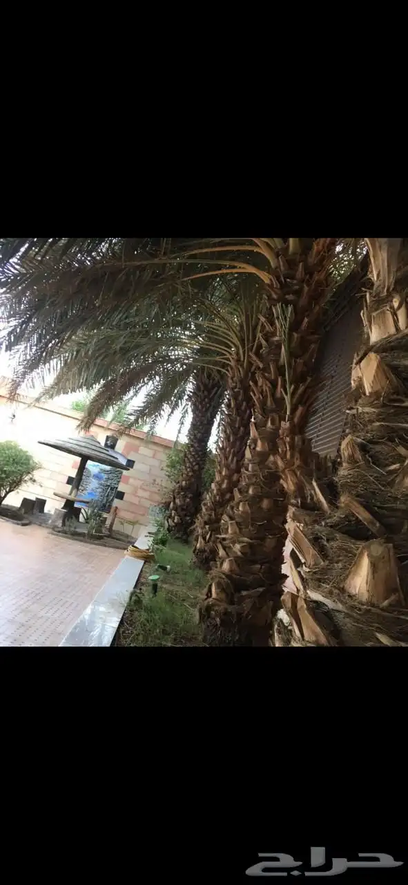 فيلا فاخره للبيع 3