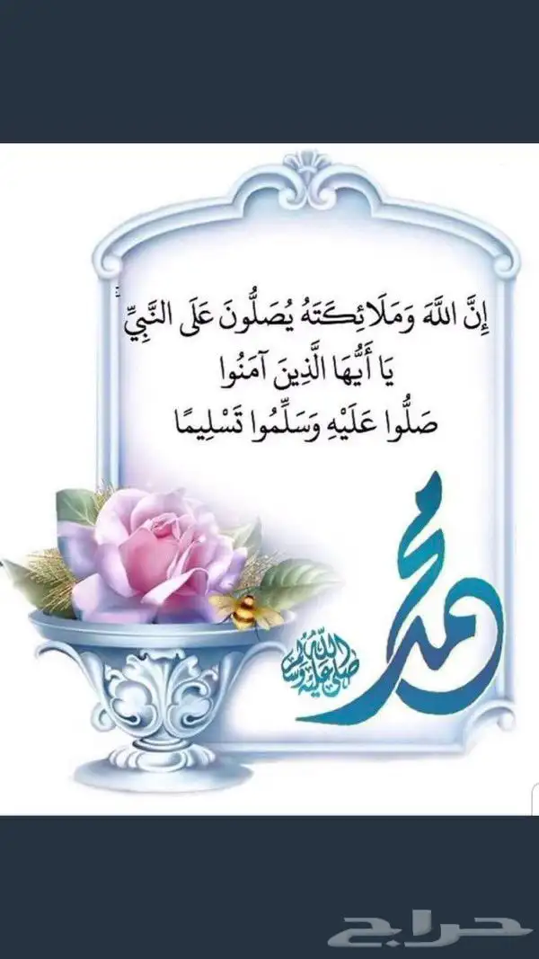 يمني يبحث عن شغل مدخل بيانات 0