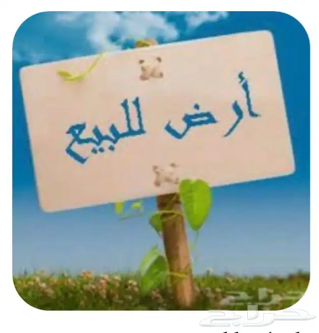 سياره 13