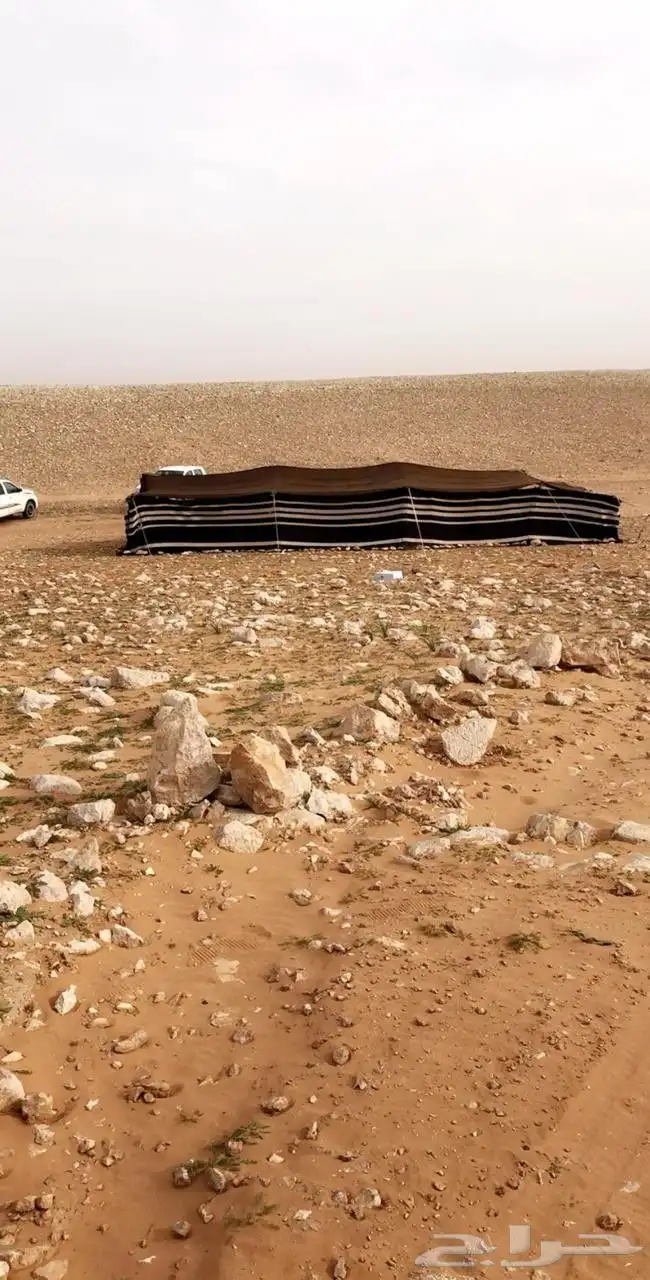 شحيمي مثولث 0