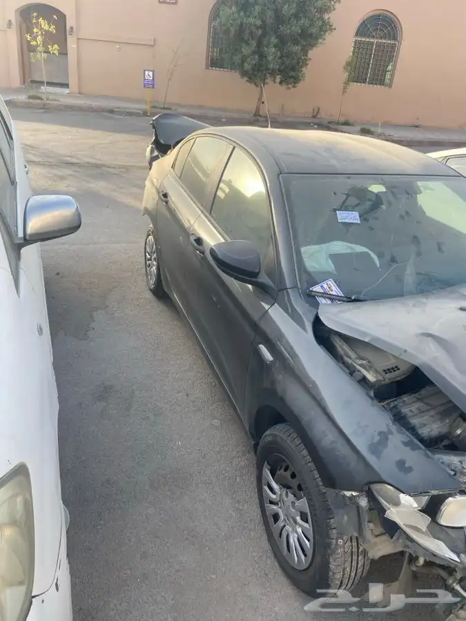 للبيع نيون دوج 2018 2