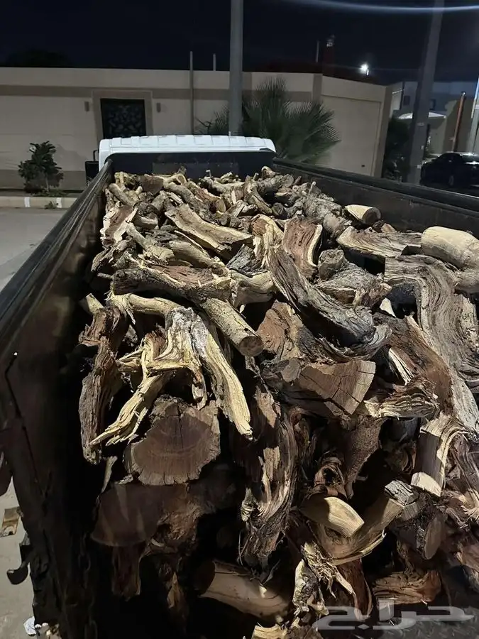 صندوق دينه يابس بسكوت اشتاء 0