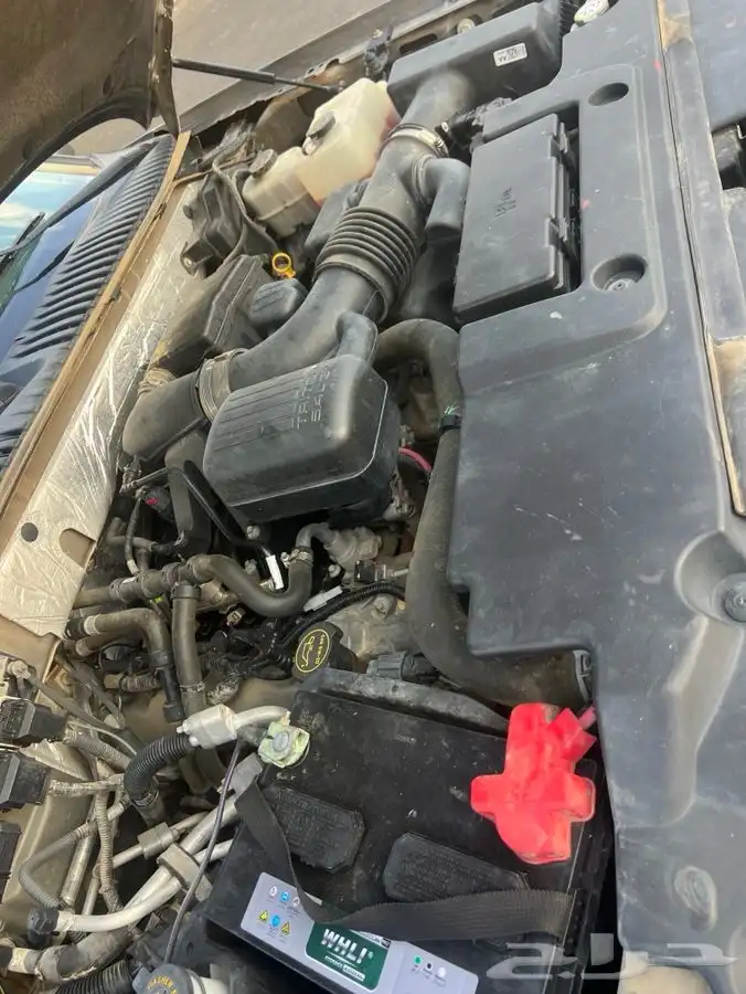 أكسبدشن دبل سعودي 2014 26