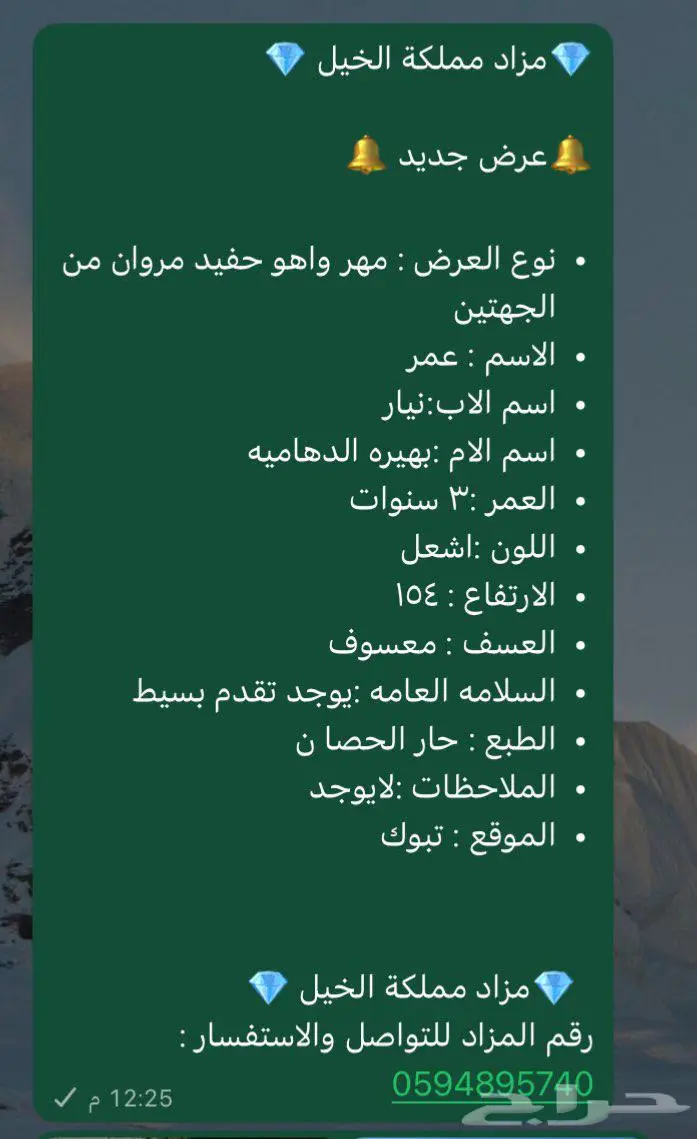 خيل 1
