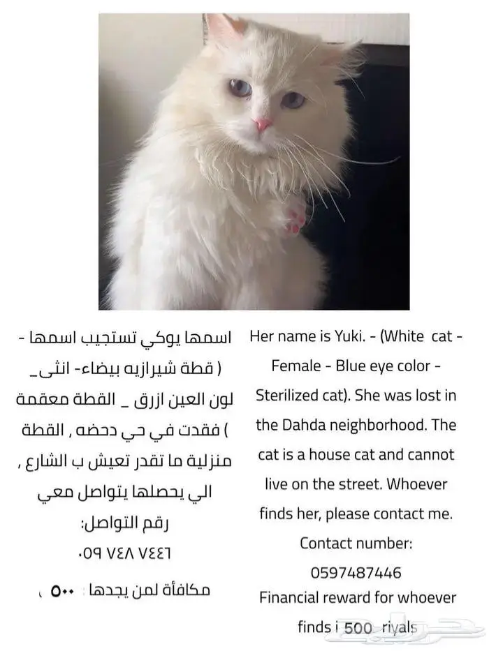 قطعة مفقودة 0