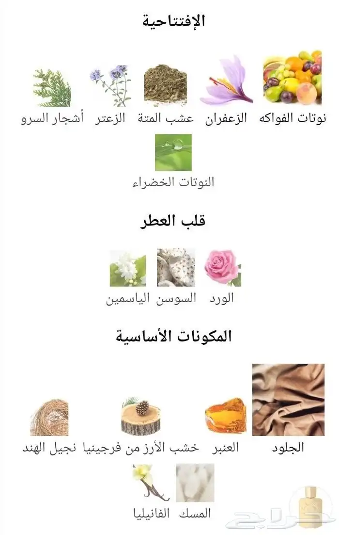 عطر قودولفين من دي مارلي 2