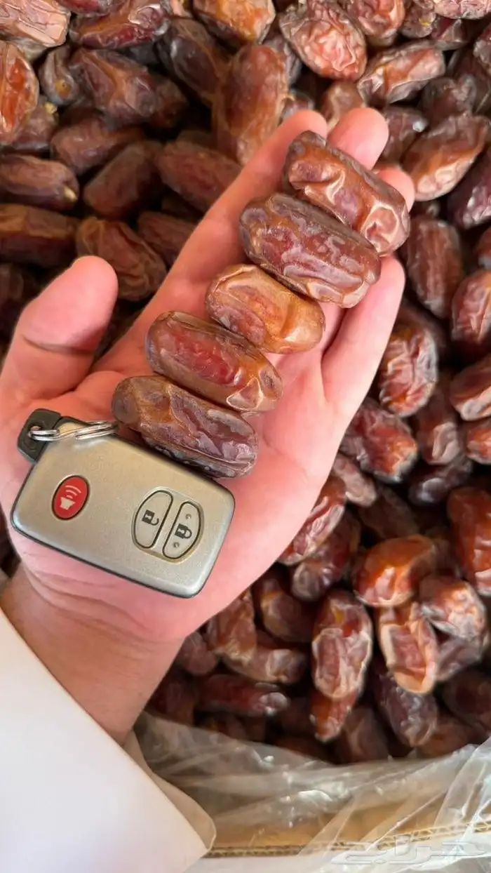 تمر خضري فاخر نظيف للبيع 2