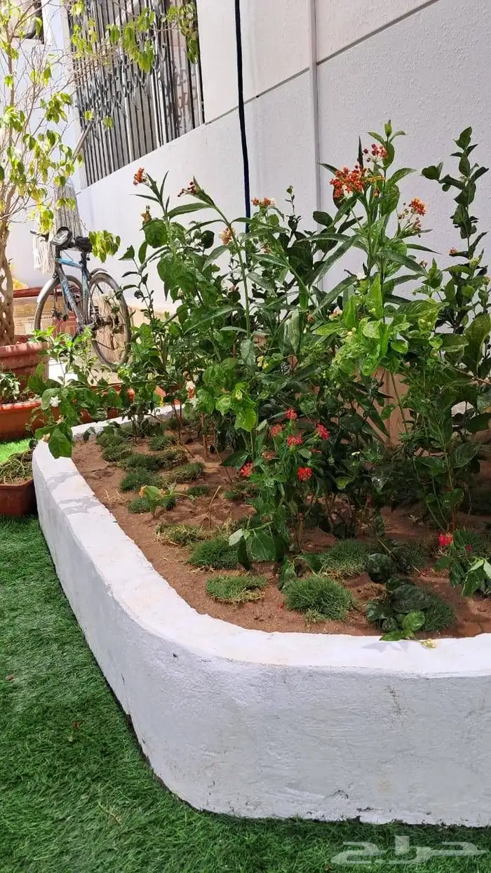 استمتع بأجمل الحدائق والشلالات في جده ومكه مع  م..اب 3