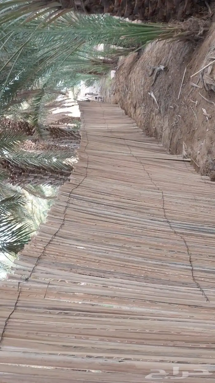 يوجد جريد النخل لفات جاهزه للبيع خزاز منضوم جميع المقاسات 8