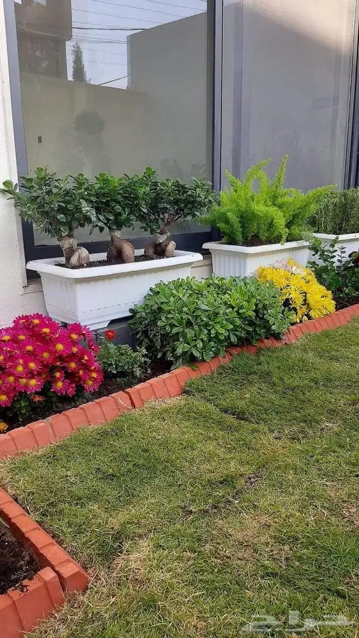 استمتع بأجمل الحدائق والشلالات في جده ومكه مع  م..اب 8