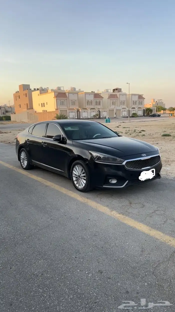كادينزا 18 نظيفة 0
