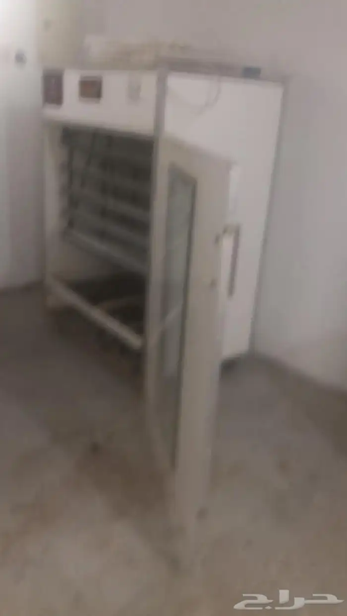 فقاصه980 بيضه 1