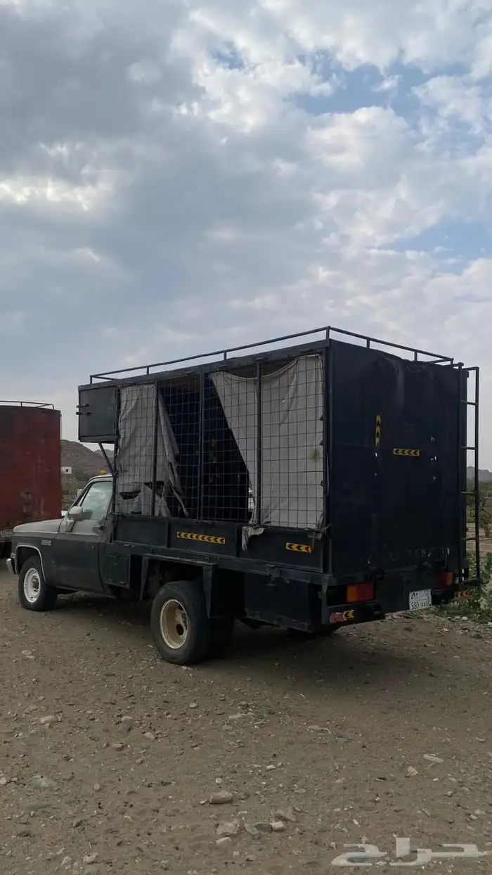 جمس نحل ونيت 6