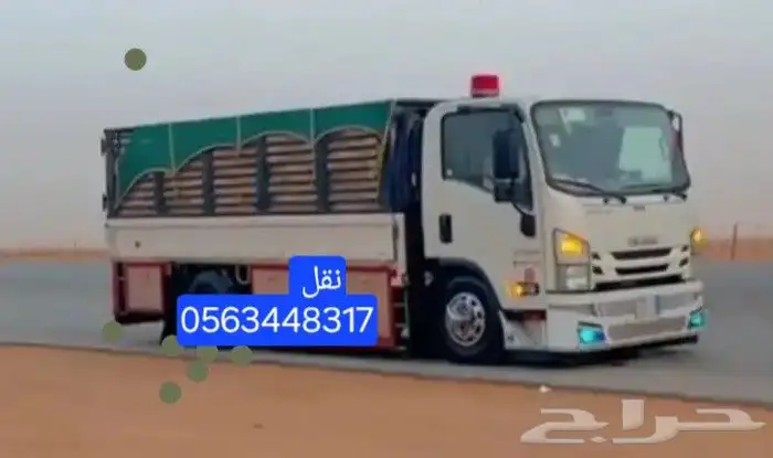 دينا نقل عفش بضائع 0