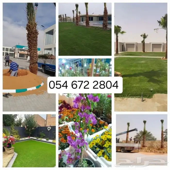 يوجد جميع انواع الاشجار والنباتات يوجد 8