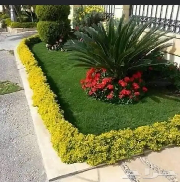 استمتع بأجمل الحدائق والشلالات في جده ومكه مع  م..اب 1