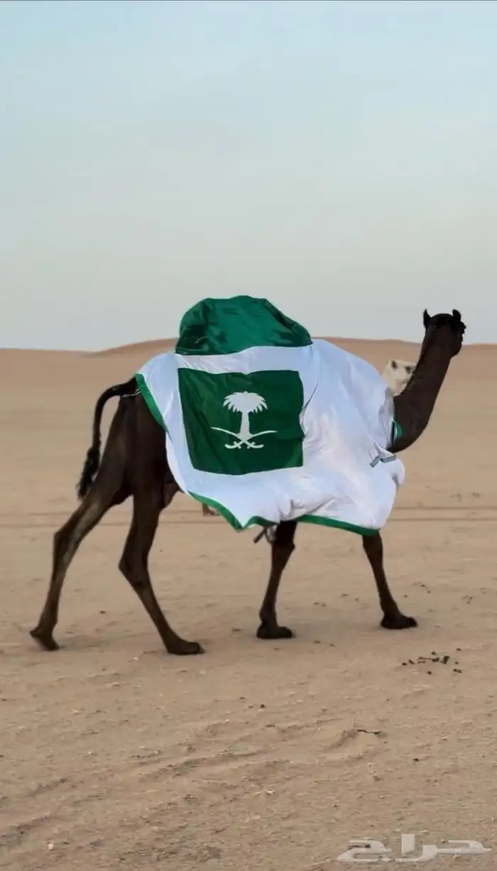 اجلة أبل 1