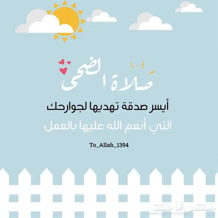 شبوك مزارع وشبوك حكوميه وملاعب الكرة وحديايق وسارحات 6