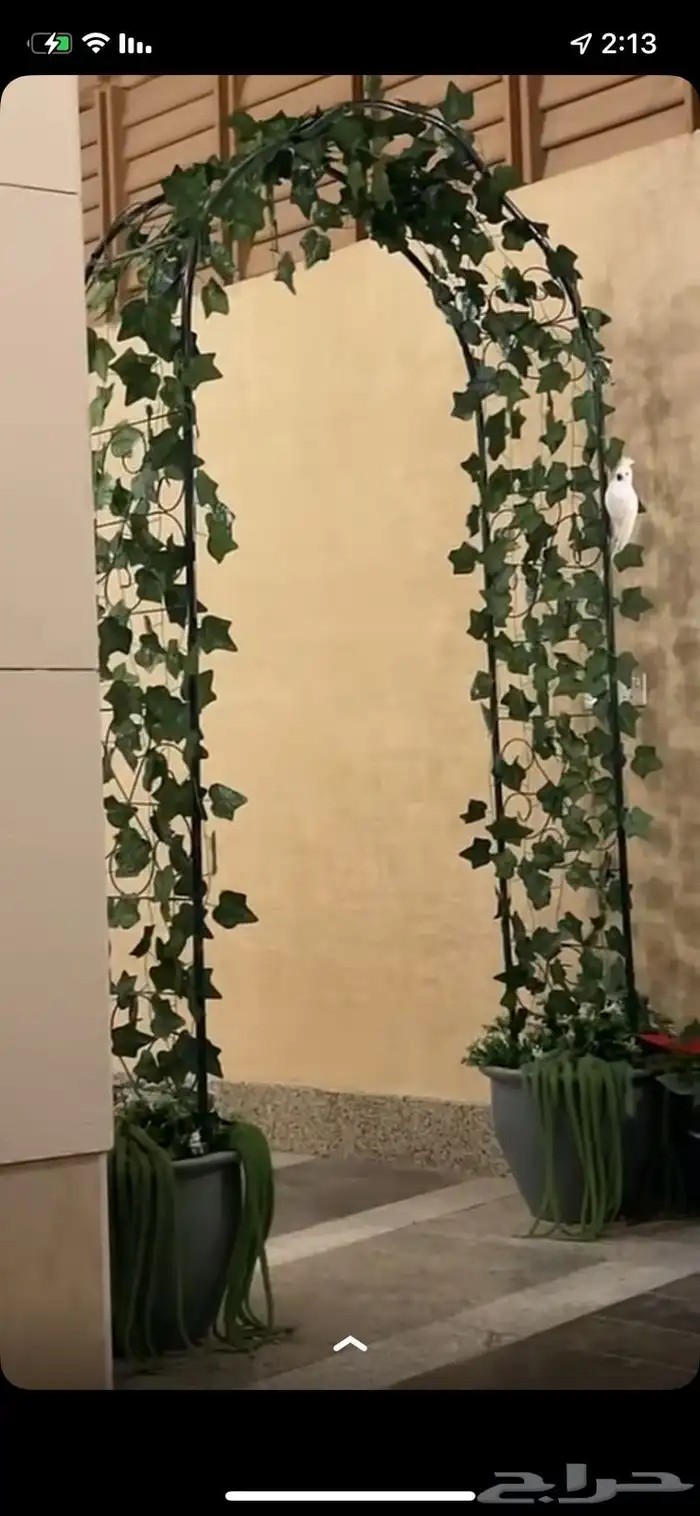 تيل طبيعي شلالات نوافير مظلات 25