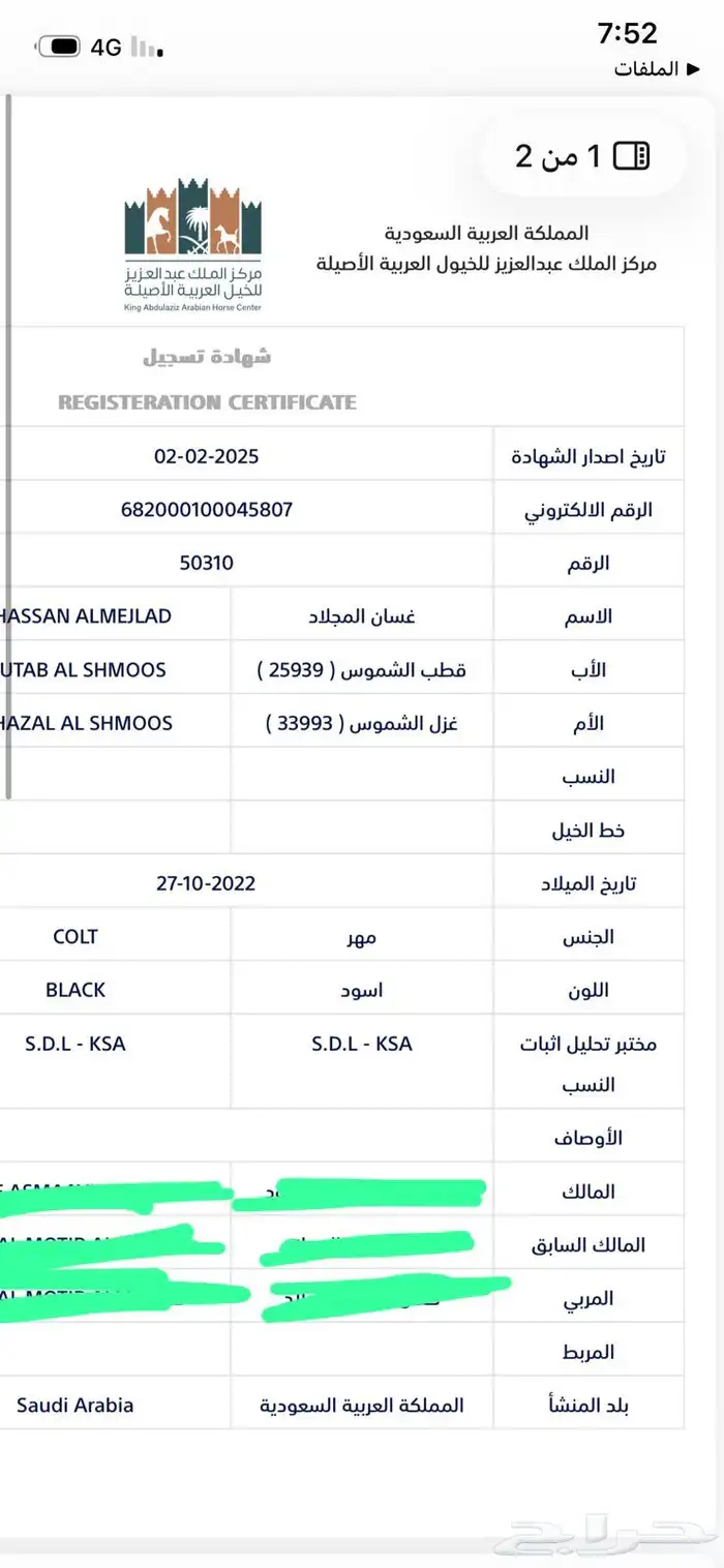 حصان ادهم يحمل دماء عالية 1