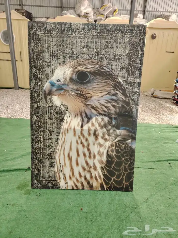 لوحات جدارية 9