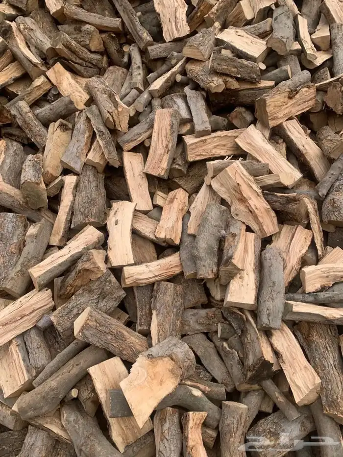 حطب زيتون افريقى 1