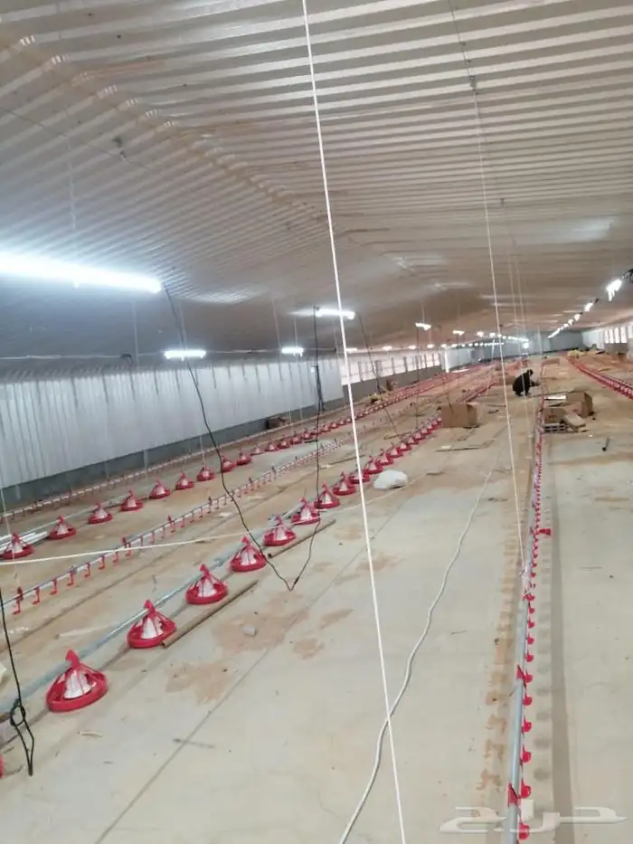 موسسه مقاولات لأنشاء حضائر الدواجن واللوحات الكهربائيه 21