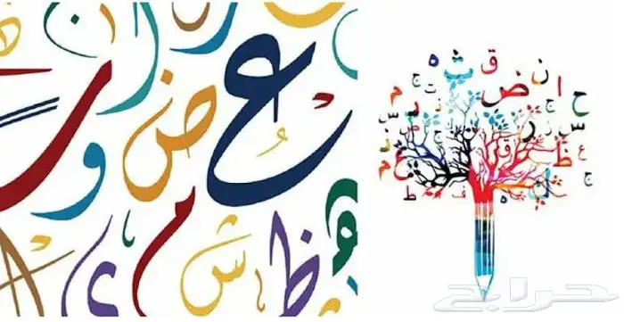 تاسيس لغه عربيه ورياضيات إنجليزي 0