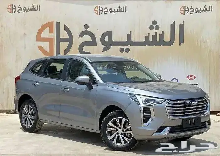 هافال جوليان بيسك 2024 اقساط او كاش 1