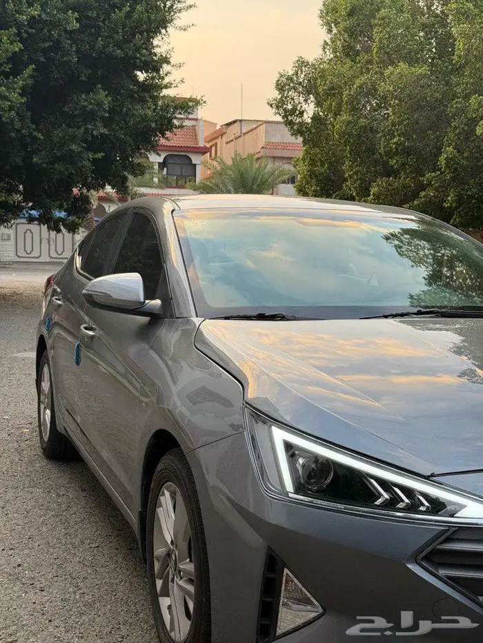 النترا 2019 نص فل 7