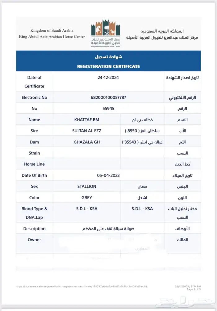 حصان عربي واهو للبيع 3