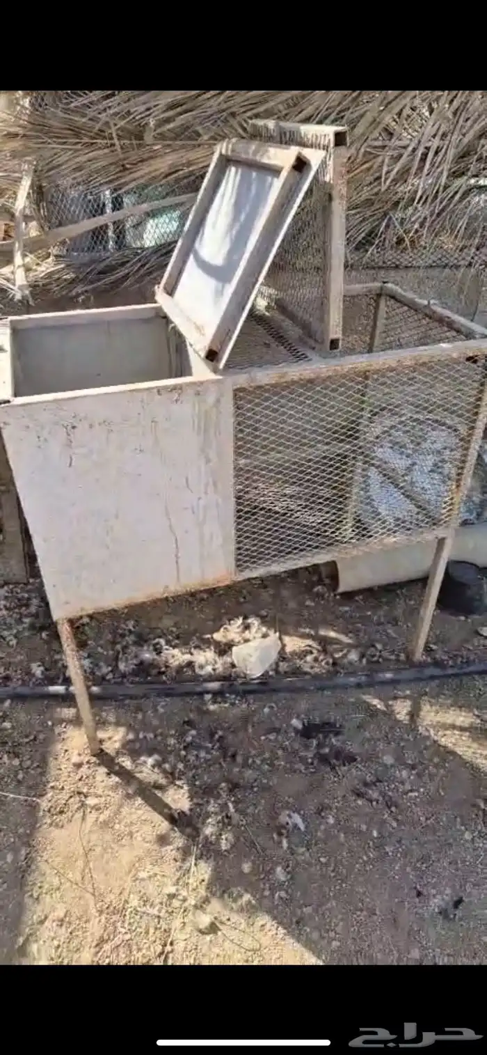 حاضنات أرانب 1