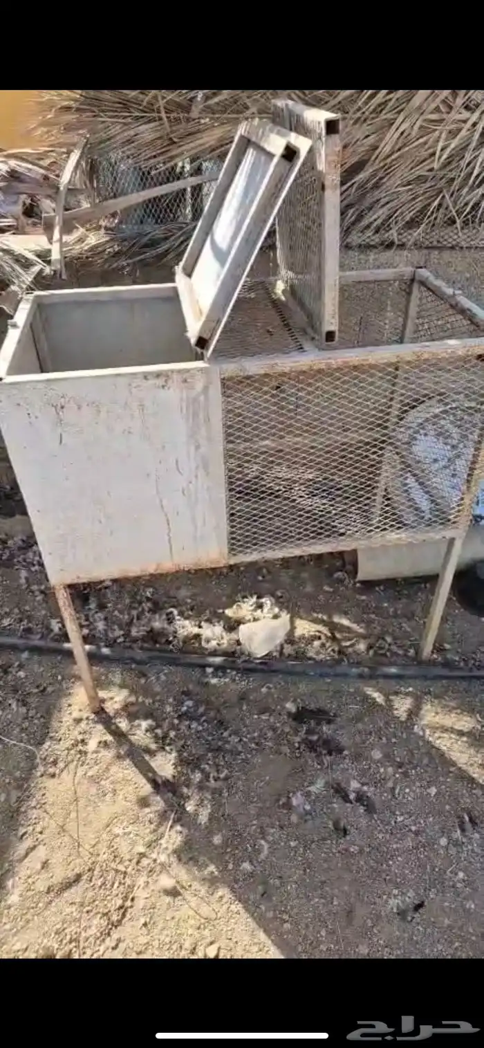 حاضنات أرانب 0